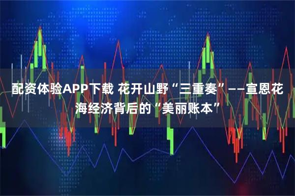 配资体验APP下载 花开山野“三重奏”——宣恩花海经济背后的“美丽账本”