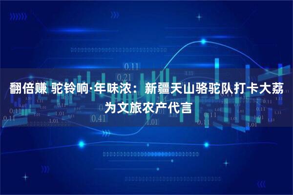 翻倍赚 驼铃响·年味浓：新疆天山骆驼队打卡大荔 为文旅农产代言