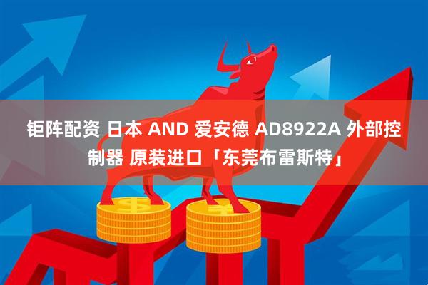 钜阵配资 日本 AND 爱安德 AD8922A 外部控制器 原装进口「东莞布雷斯特」