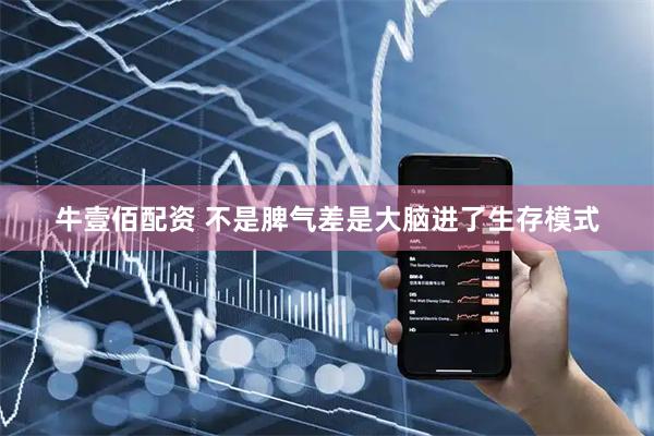 牛壹佰配资 不是脾气差是大脑进了生存模式